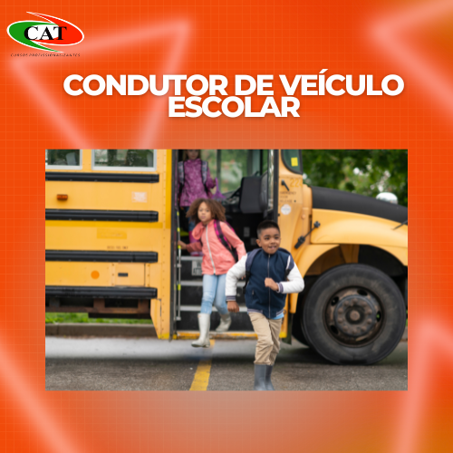 Condustor de Veículo Escolar