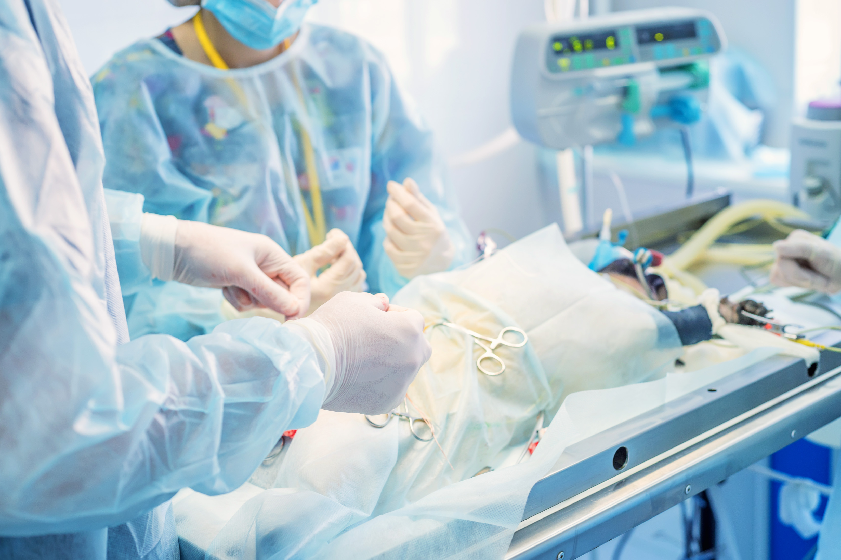 Curso Teórico/Prático básico e avançado de Microcirurgia Veterinária - outubro 2026