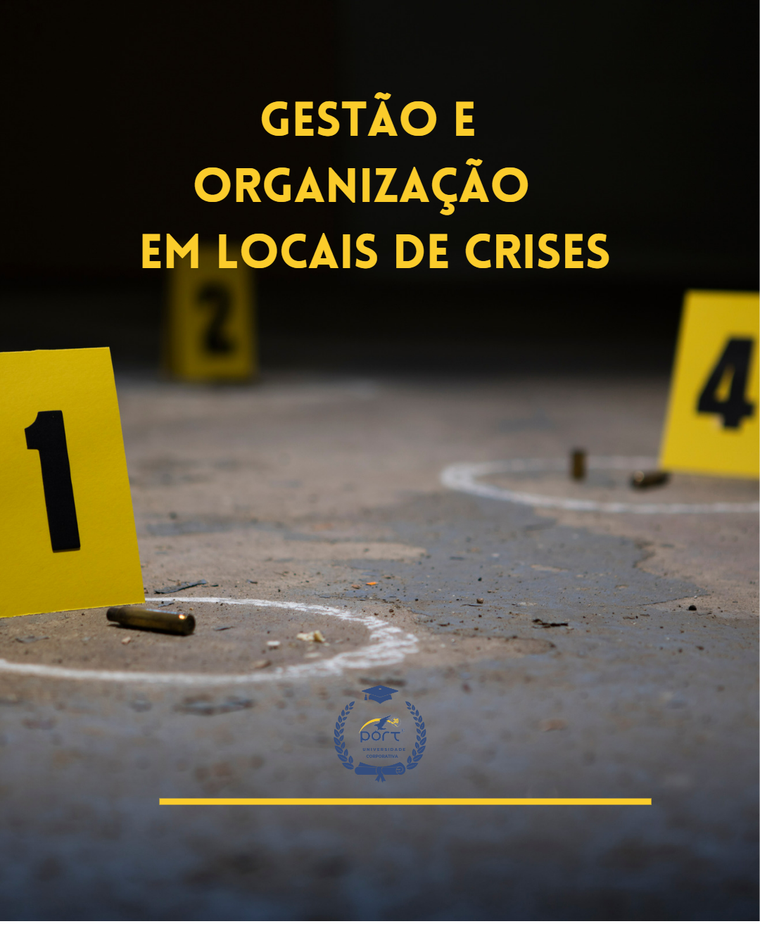 Gestão e Organização em Locais de Crise